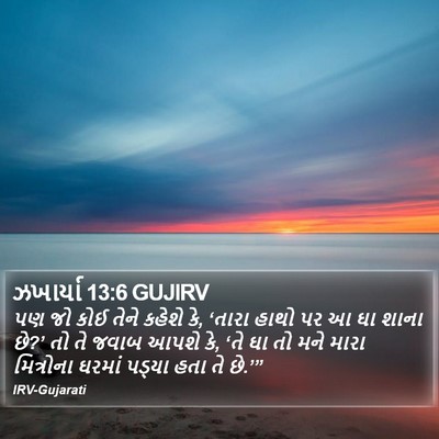 ઝખાર્યા 13:6 GUJIRV Bible Verse Image