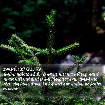 ઝખાર્યા 13:7 GUJIRV Bible Verse Image
