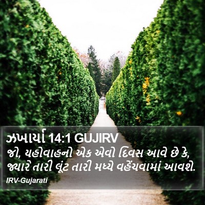 ઝખાર્યા 14:1 GUJIRV Bible Verse Image