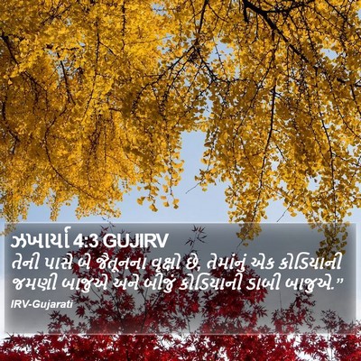 ઝખાર્યા 4:3 GUJIRV Bible Verse Image