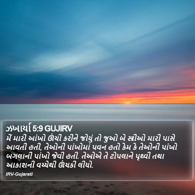 ઝખાર્યા 5:9 GUJIRV Bible Verse Image