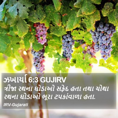 ઝખાર્યા 6:3 GUJIRV Bible Verse Image