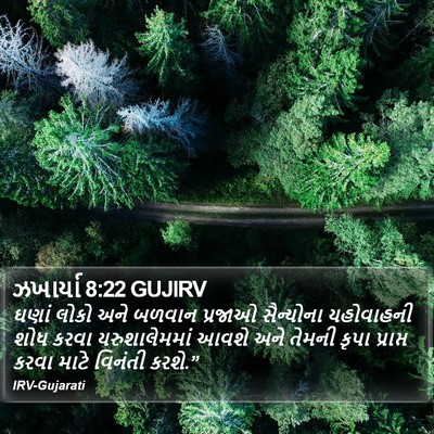 ઝખાર્યા 8:22 GUJIRV Bible Verse Image