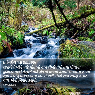 દાનિયેલ 1:5 GUJIRV Bible Verse Image