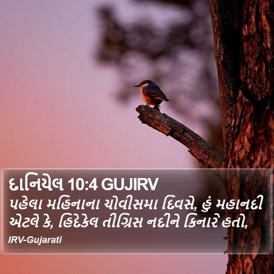 દાનિયેલ 10:4 GUJIRV Bible Verse Image