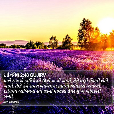 દાનિયેલ 2:48 GUJIRV Bible Verse Image