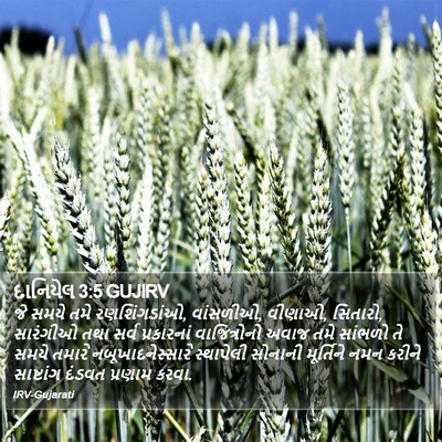 દાનિયેલ 3:5 GUJIRV Bible Verse Image