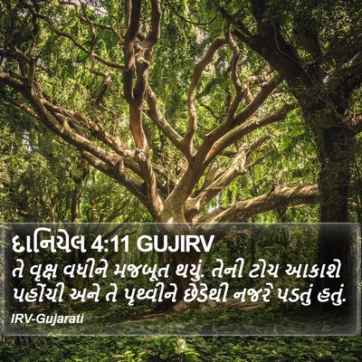 દાનિયેલ 4:11 GUJIRV Bible Verse Image