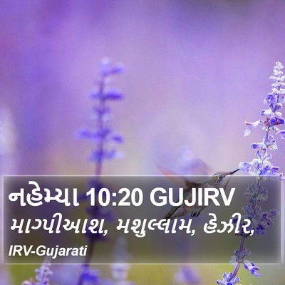 નહેમ્યા 10:20 GUJIRV Bible Verse Image