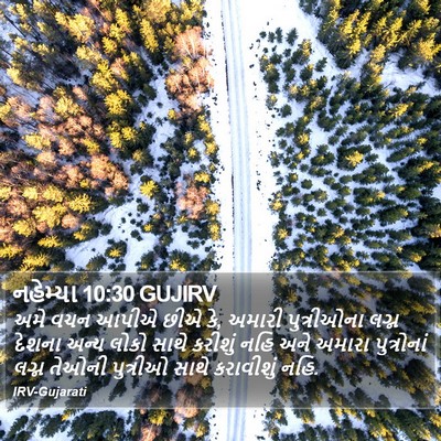 નહેમ્યા 10:30 GUJIRV Bible Verse Image