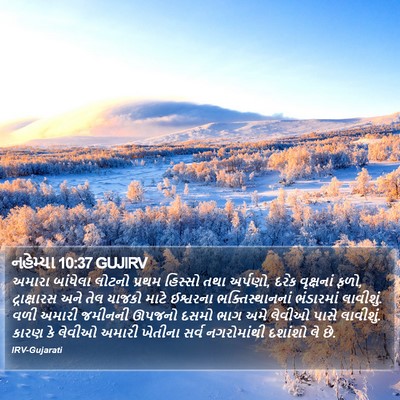 નહેમ્યા 10:37 GUJIRV Bible Verse Image