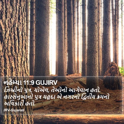 નહેમ્યા 11:9 GUJIRV Bible Verse Image