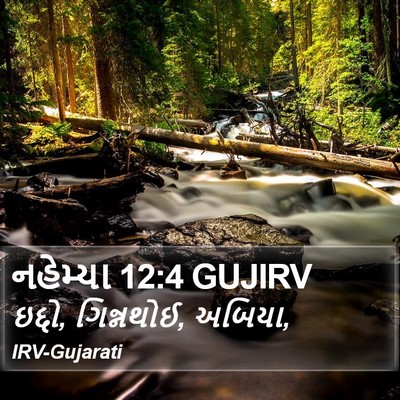 નહેમ્યા 12:4 GUJIRV Bible Verse Image