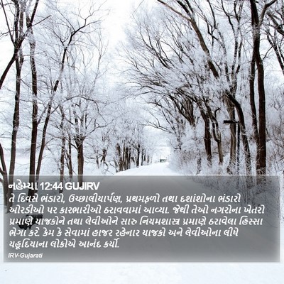 નહેમ્યા 12:44 GUJIRV Bible Verse Image