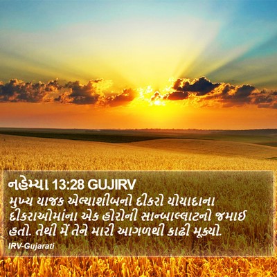 નહેમ્યા 13:28 GUJIRV Bible Verse Image