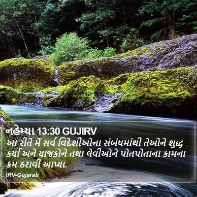 નહેમ્યા 13:30 GUJIRV Bible Verse Image