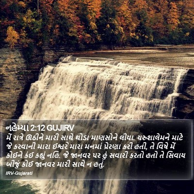 નહેમ્યા 2:12 GUJIRV Bible Verse Image