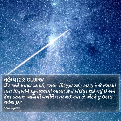 નહેમ્યા 2:3 GUJIRV Bible Verse Image