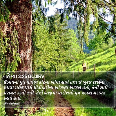 નહેમ્યા 3:25 GUJIRV Bible Verse Image