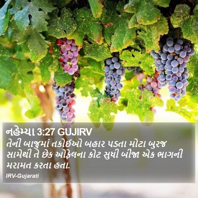 નહેમ્યા 3:27 GUJIRV Bible Verse Image