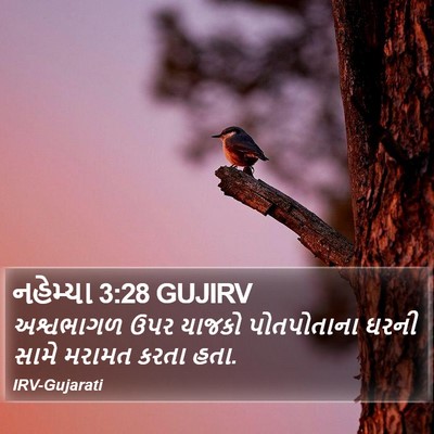 નહેમ્યા 3:28 GUJIRV Bible Verse Image