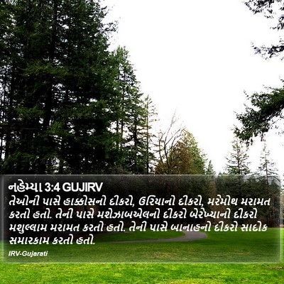 નહેમ્યા 3:4 GUJIRV Bible Verse Image
