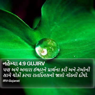 નહેમ્યા 4:9 GUJIRV Bible Verse Image