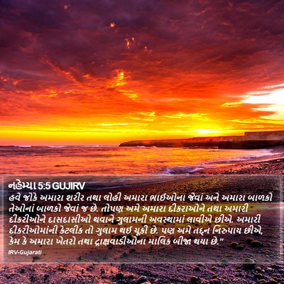 નહેમ્યા 5:5 GUJIRV Bible Verse Image