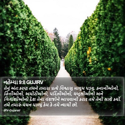 નહેમ્યા 9:8 GUJIRV Bible Verse Image