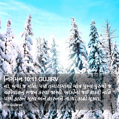 નિર્ગમન 10:11 GUJIRV Bible Verse Image