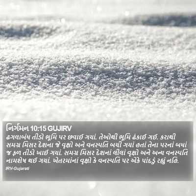 નિર્ગમન 10:15 GUJIRV Bible Verse Image