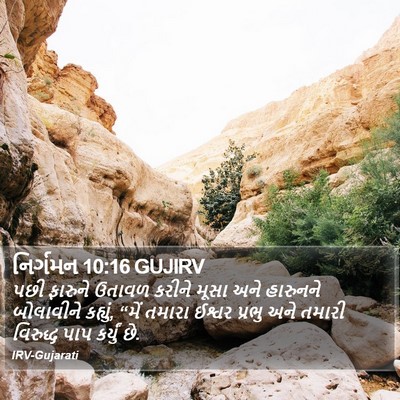 નિર્ગમન 10:16 GUJIRV Bible Verse Image