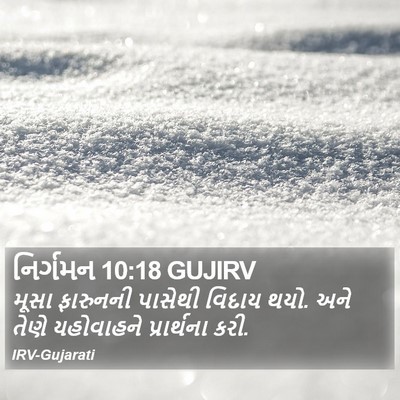 નિર્ગમન 10:18 GUJIRV Bible Verse Image