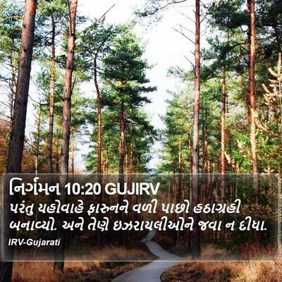 નિર્ગમન 10:20 GUJIRV Bible Verse Image