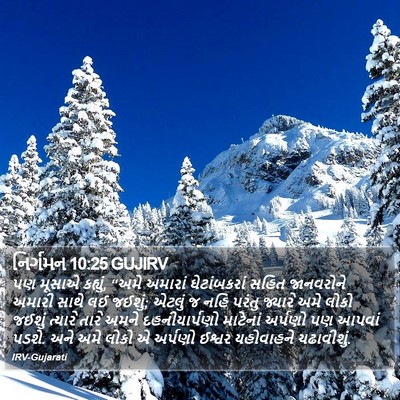 નિર્ગમન 10:25 GUJIRV Bible Verse Image