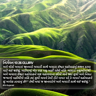 નિર્ગમન 10:26 GUJIRV Bible Verse Image