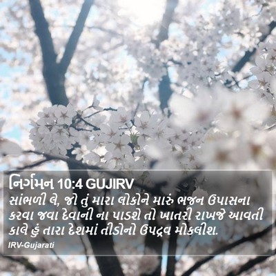 નિર્ગમન 10:4 GUJIRV Bible Verse Image