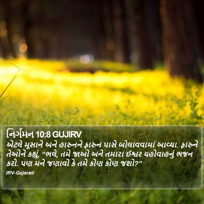 નિર્ગમન 10:8 GUJIRV Bible Verse Image