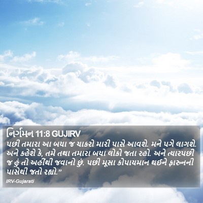 નિર્ગમન 11:8 GUJIRV Bible Verse Image