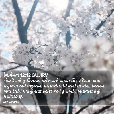 નિર્ગમન 12:12 GUJIRV Bible Verse Image