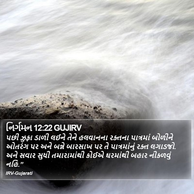 નિર્ગમન 12:22 GUJIRV Bible Verse Image