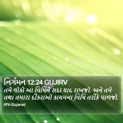 નિર્ગમન 12:24 GUJIRV Bible Verse Image