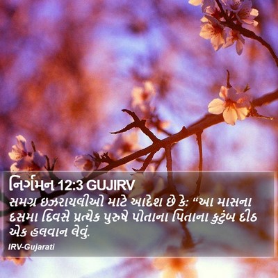 નિર્ગમન 12:3 GUJIRV Bible Verse Image