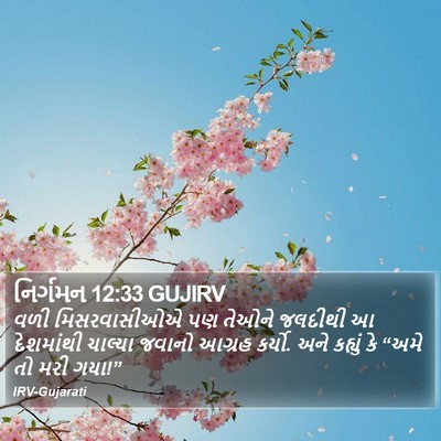 નિર્ગમન 12:33 GUJIRV Bible Verse Image