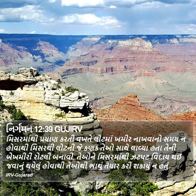 નિર્ગમન 12:39 GUJIRV Bible Verse Image