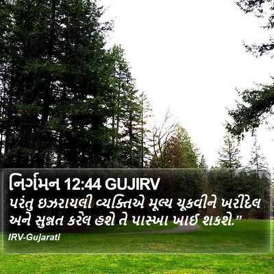 નિર્ગમન 12:44 GUJIRV Bible Verse Image