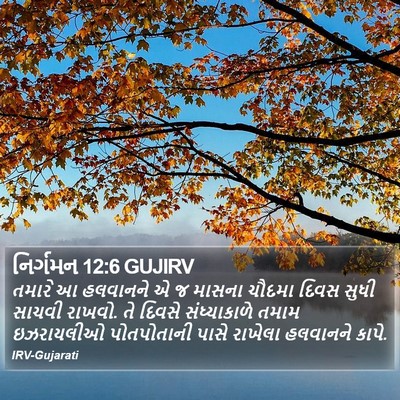 નિર્ગમન 12:6 GUJIRV Bible Verse Image