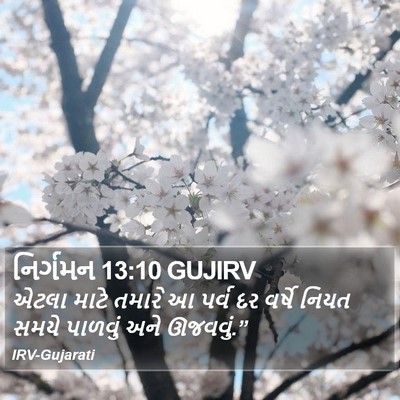 નિર્ગમન 13:10 GUJIRV Bible Verse Image