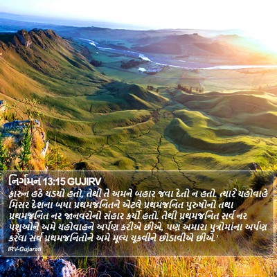 નિર્ગમન 13:15 GUJIRV Bible Verse Image