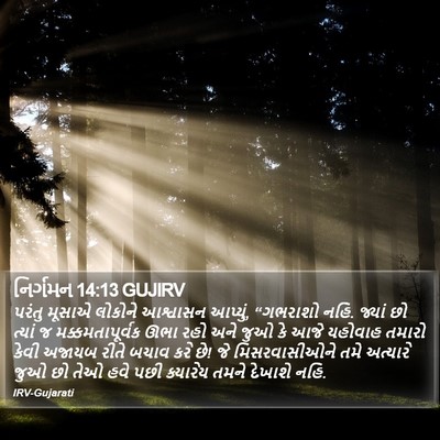 નિર્ગમન 14:13 GUJIRV Bible Verse Image
